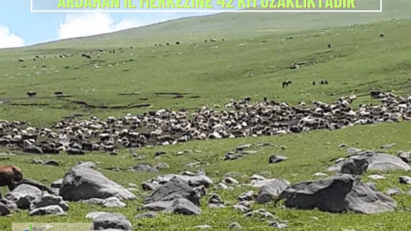 Ardahan, Merkez, Tunçoluk