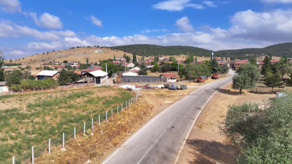 Kütahya, Altıntaş, Alıncık