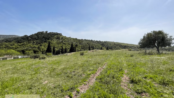 Çanakkale, Ayvacık, Babadere