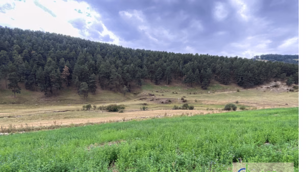 Kars, Sarıkamış, Yukarısarıkamış