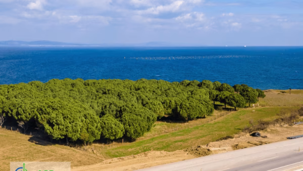 Çanakkale, Lapseki, Alpagut
