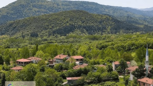 Çanakkale, Yenice, Suuçtu