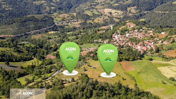 Balıkesir, Kepsut, Kayaeli